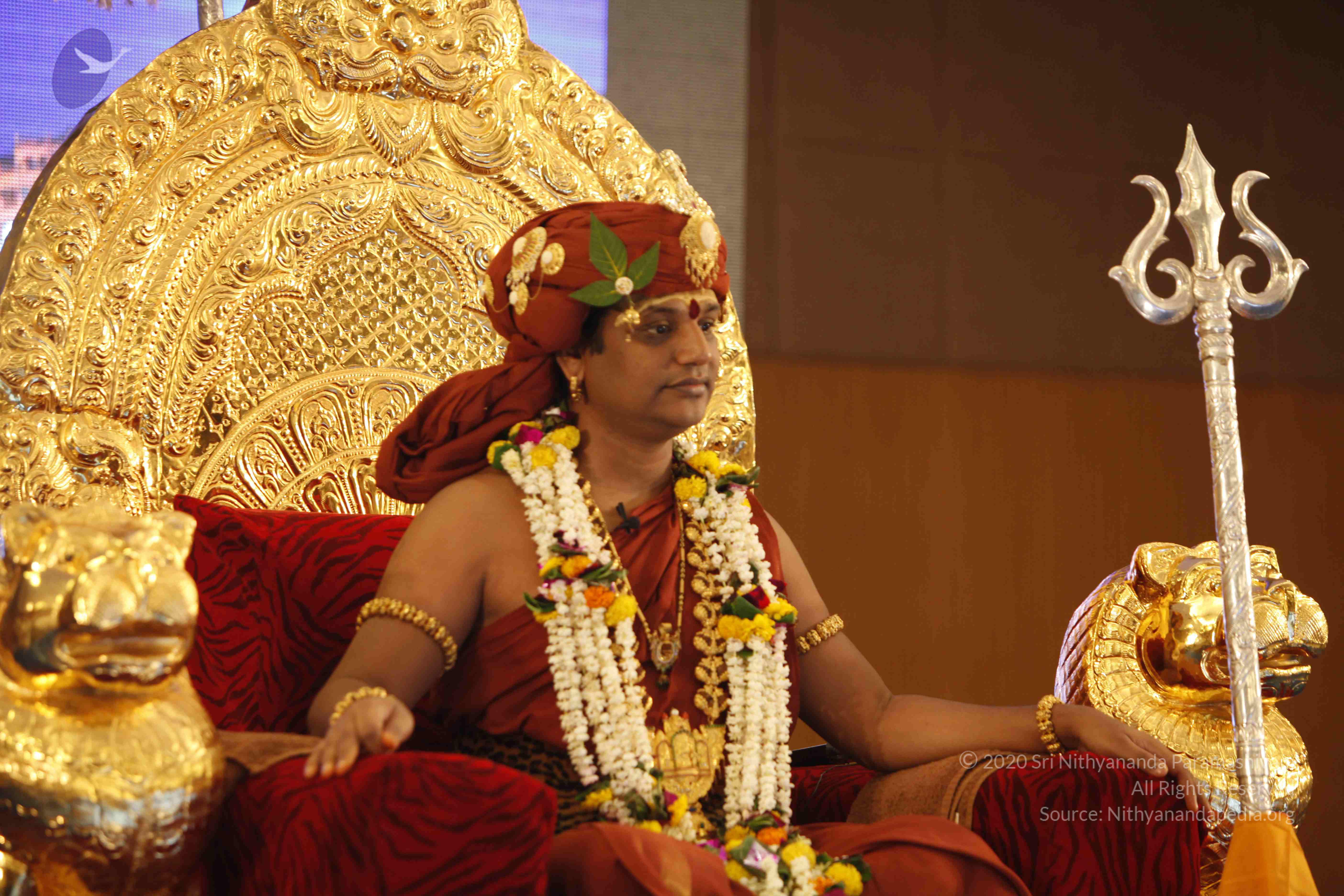 20140501_Photo_1072__MG_2938_CMP_WM